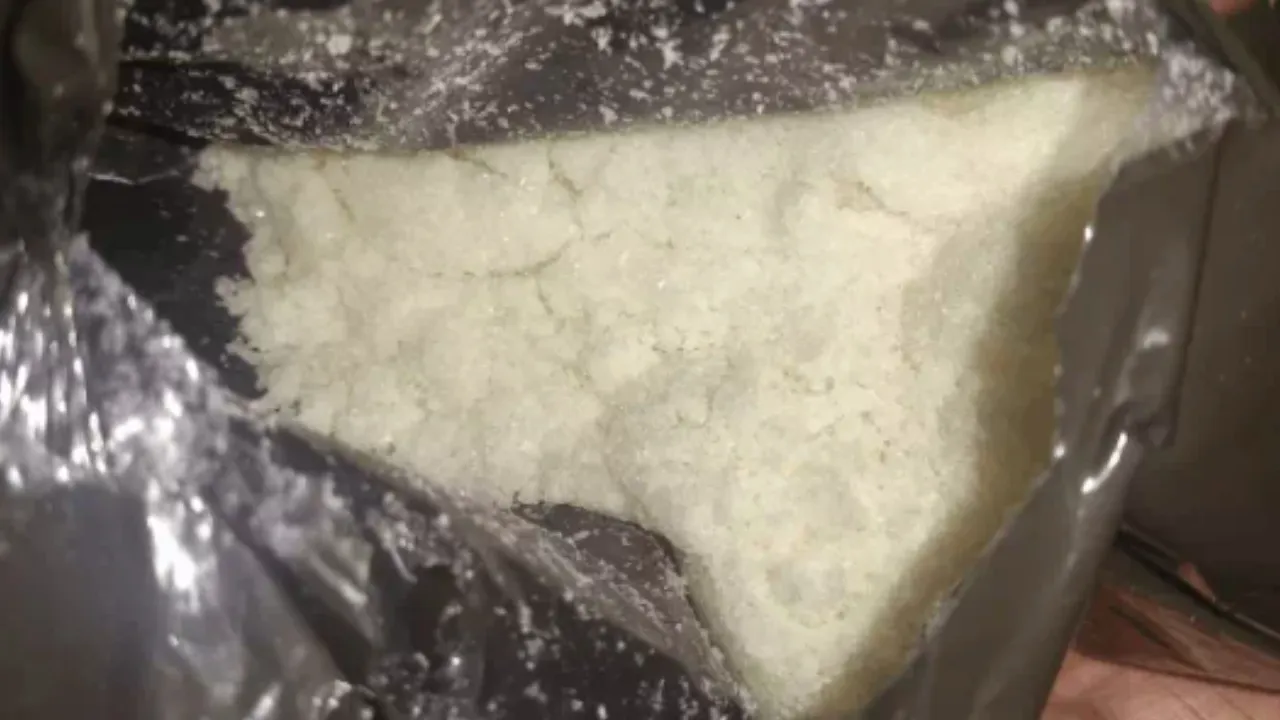 bhopal drug bust