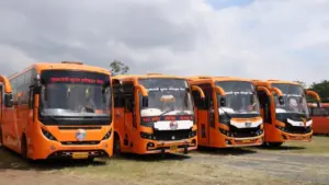 bus