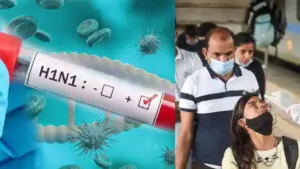chhattisgarh-swine-flu