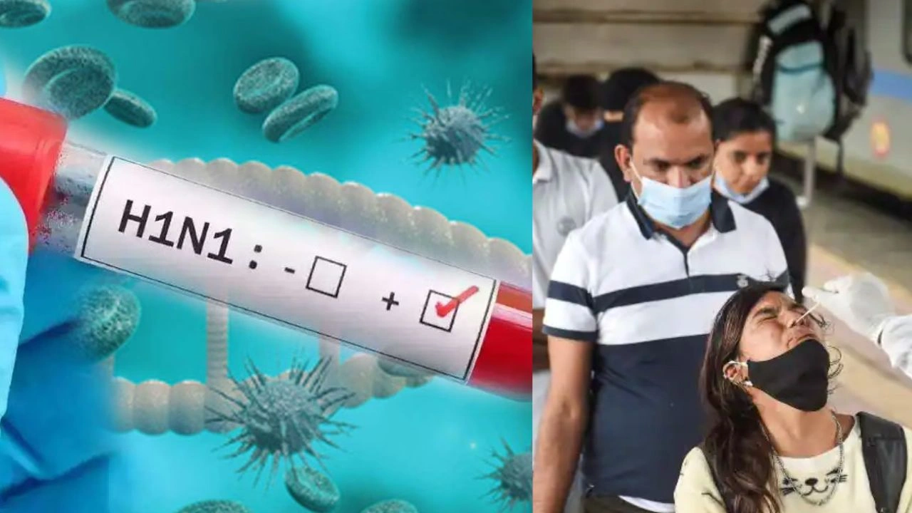 chhattisgarh-swine-flu