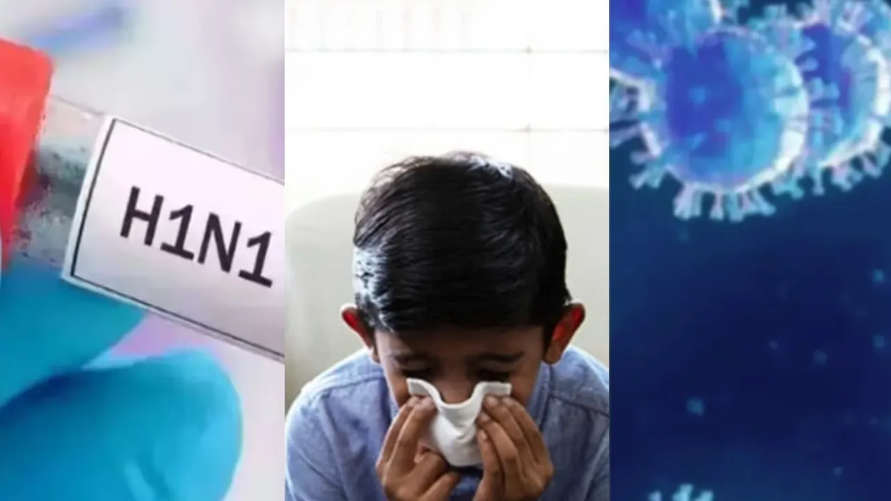 chhattisgarh swine flu cases