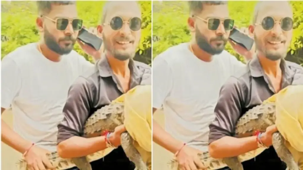 jabalpur crocodile viral video