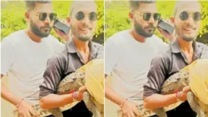 jabalpur crocodile viral video