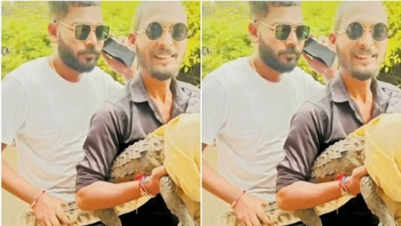 jabalpur crocodile viral video