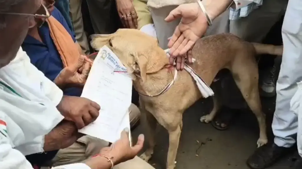 Khandwa Farmers showed their protest by handing over memorandum to dog