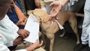 Khandwa Farmers showed their protest by handing over memorandum to dog