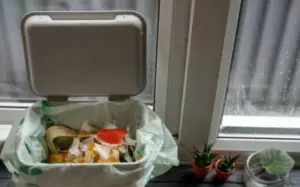 kitchen dustbin