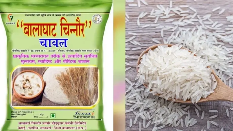 वैश्विक मंच पर चमका बालाघाट का चिन्नौर चावल, खुशबू और गुणवत्ता ने जीता विदेशी खरीदारों का दिल