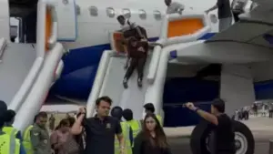 Delhi Chennai IndiGo flight diversion