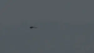 Helicopter