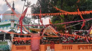 Ranpur Nathal Dai Temple