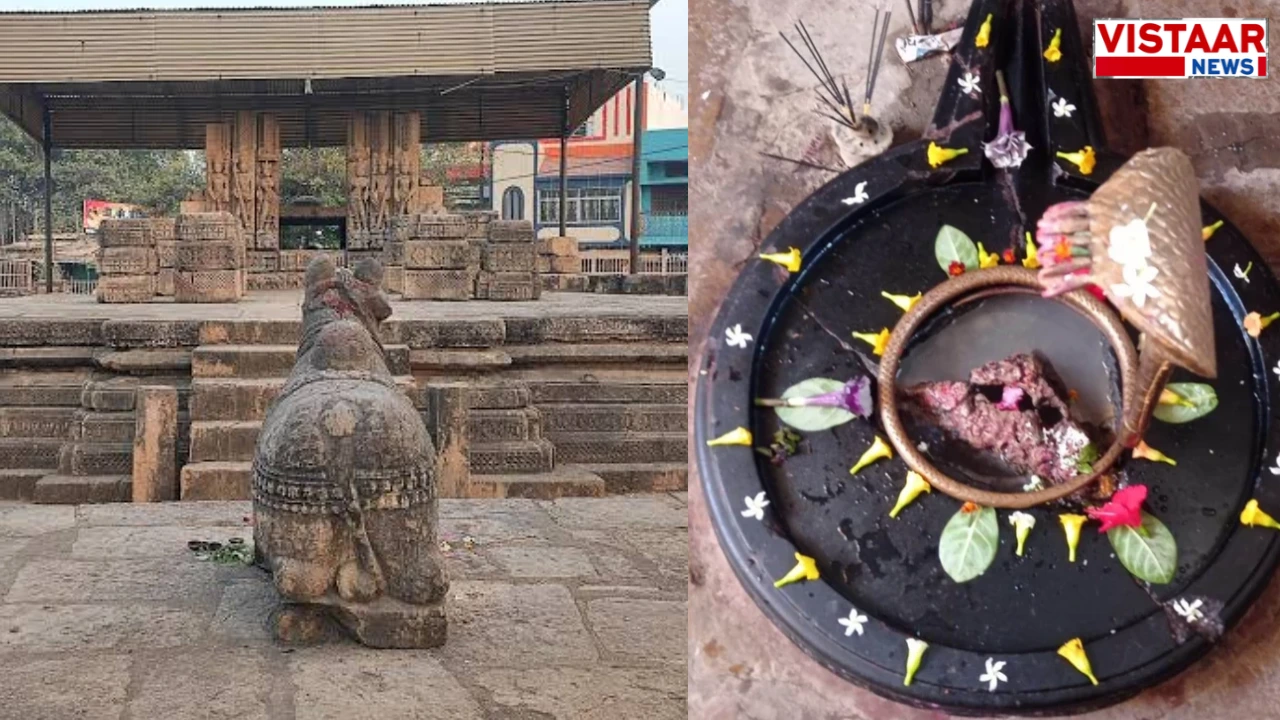 Unique Tradition in Malhar: 50 Villages Exchange Shami Leaves to Forget Rivalries After Ravan Dahan
