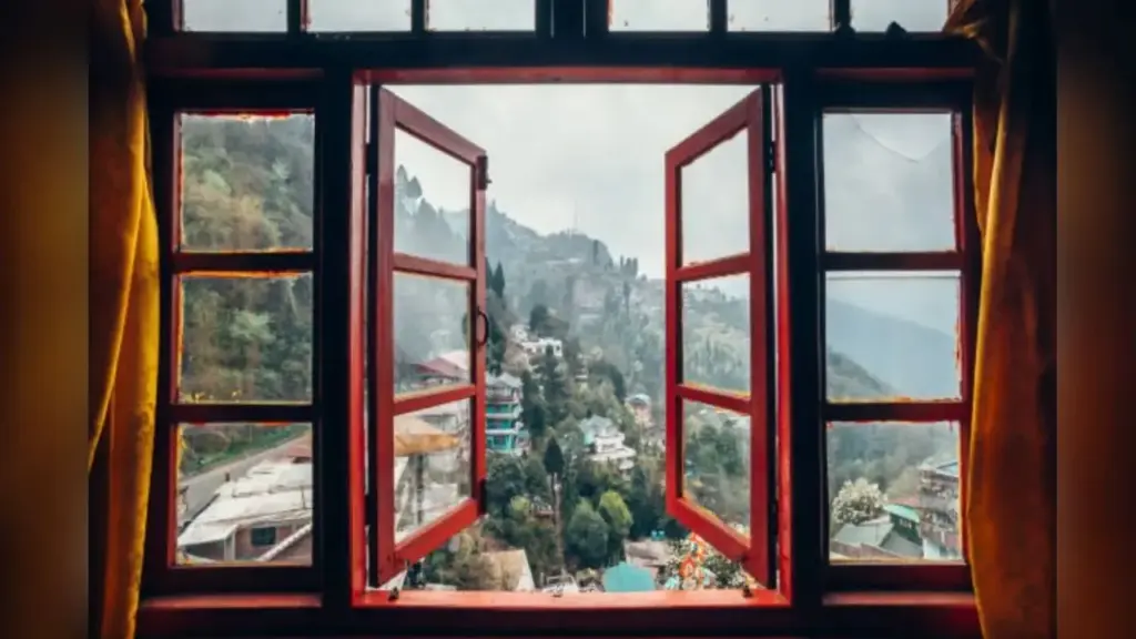 Window