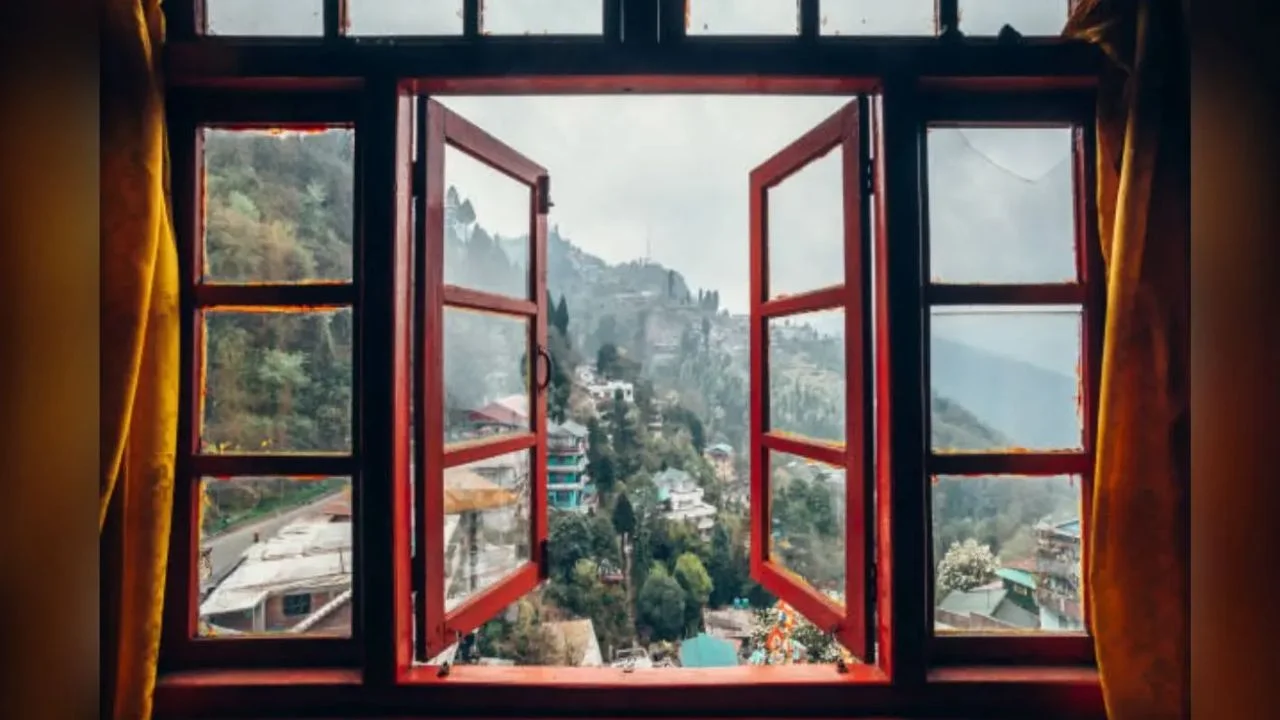 Window