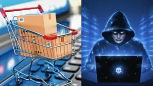 cyber fraud