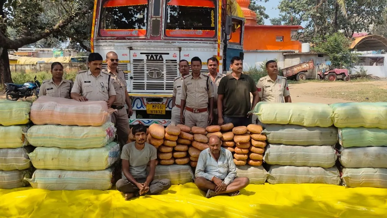 ganja seized worth rupees 1.13 crore 735 kg shahdol police action odisha up and bihar