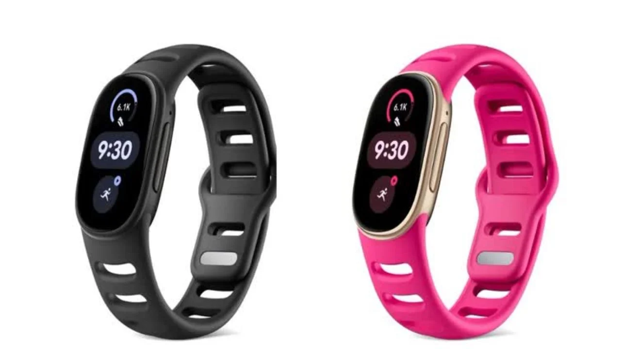 google Fitbit Edge (