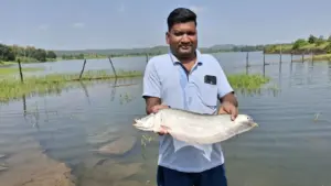 Fish farming was carried out in the village pond.