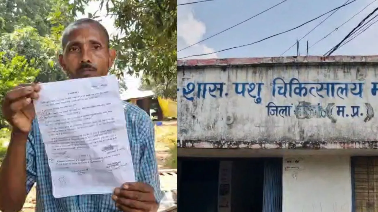 Victim Angira Pandey