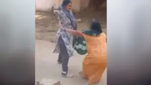 Daughter-in-law assaulting her mother-in-law
