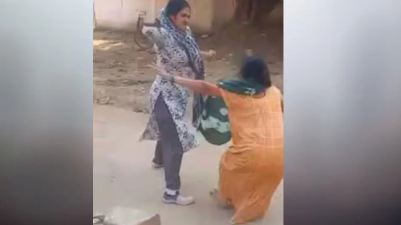 Daughter-in-law assaulting her mother-in-law
