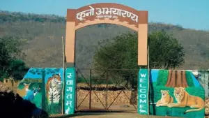 Kuno National Park