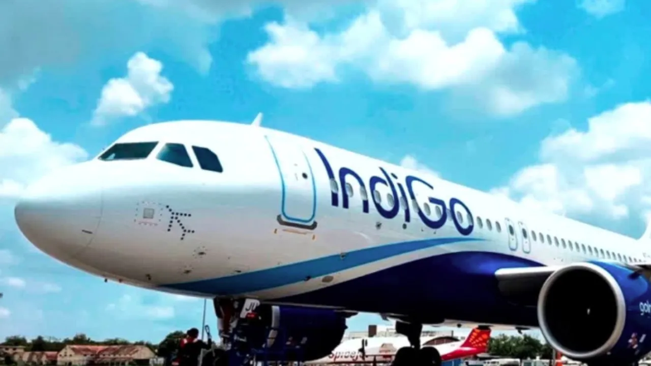 Indigo flight